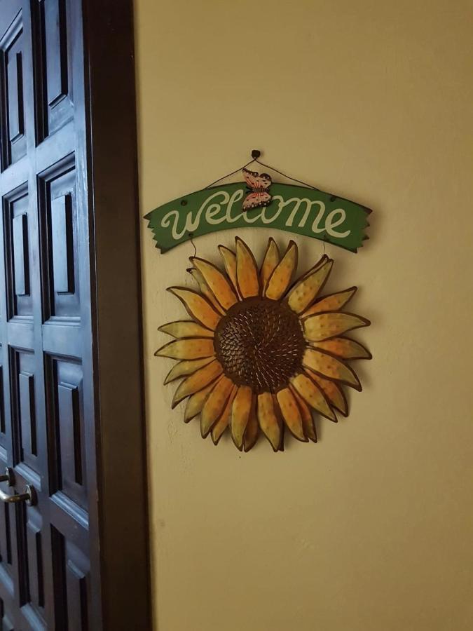 Il Girasole Storico Apartment Pitigliano Exterior photo