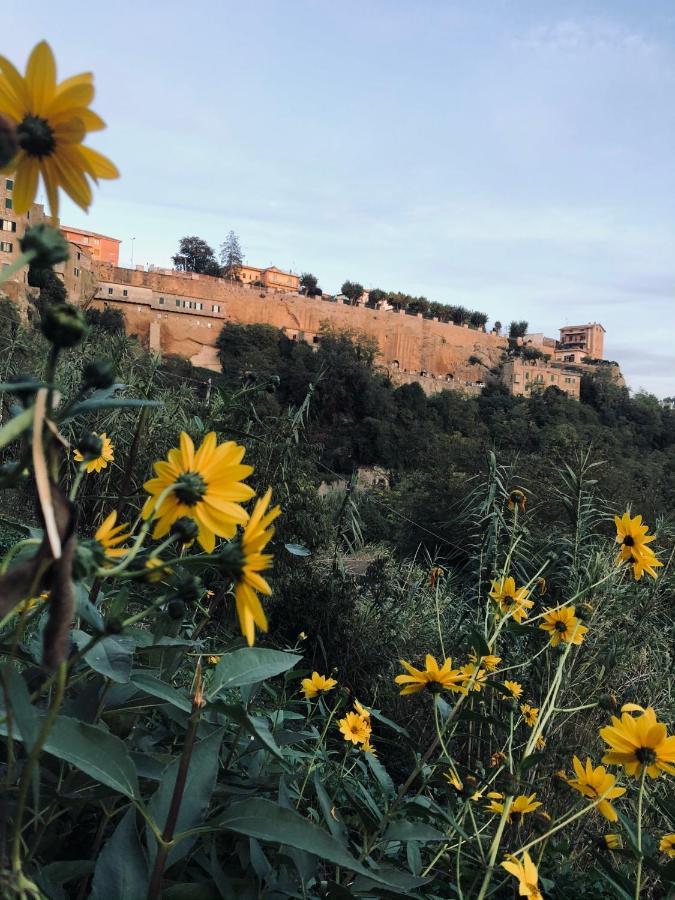 Il Girasole Storico Apartment Pitigliano Exterior photo